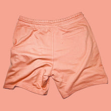 Load image into Gallery viewer, GreAy Hayden “Showoff” Shorts (Salmon/Wynter White)
